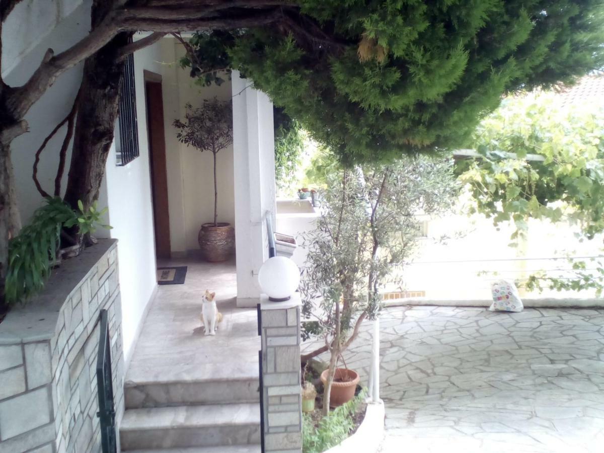 Kavala Apartment Ngoại thất bức ảnh